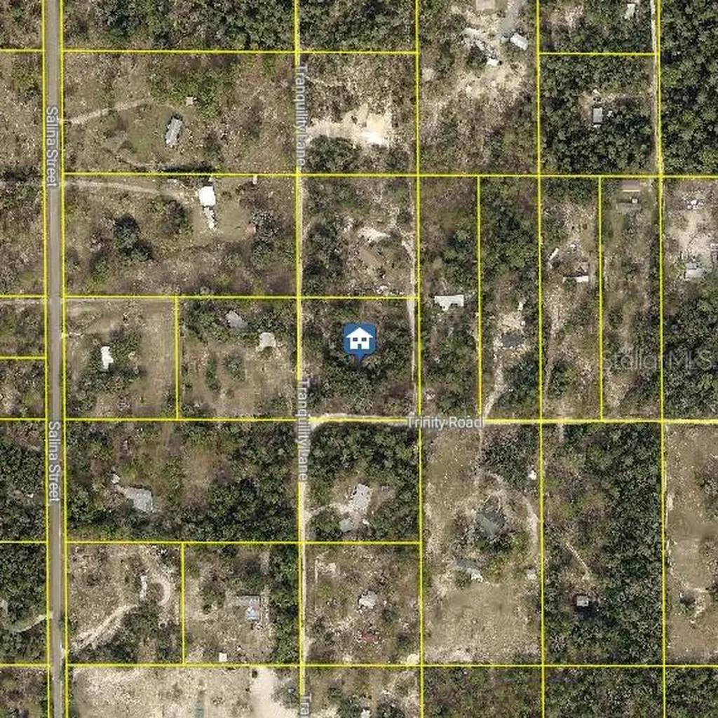 Trinity Road Brooksville FL 34614