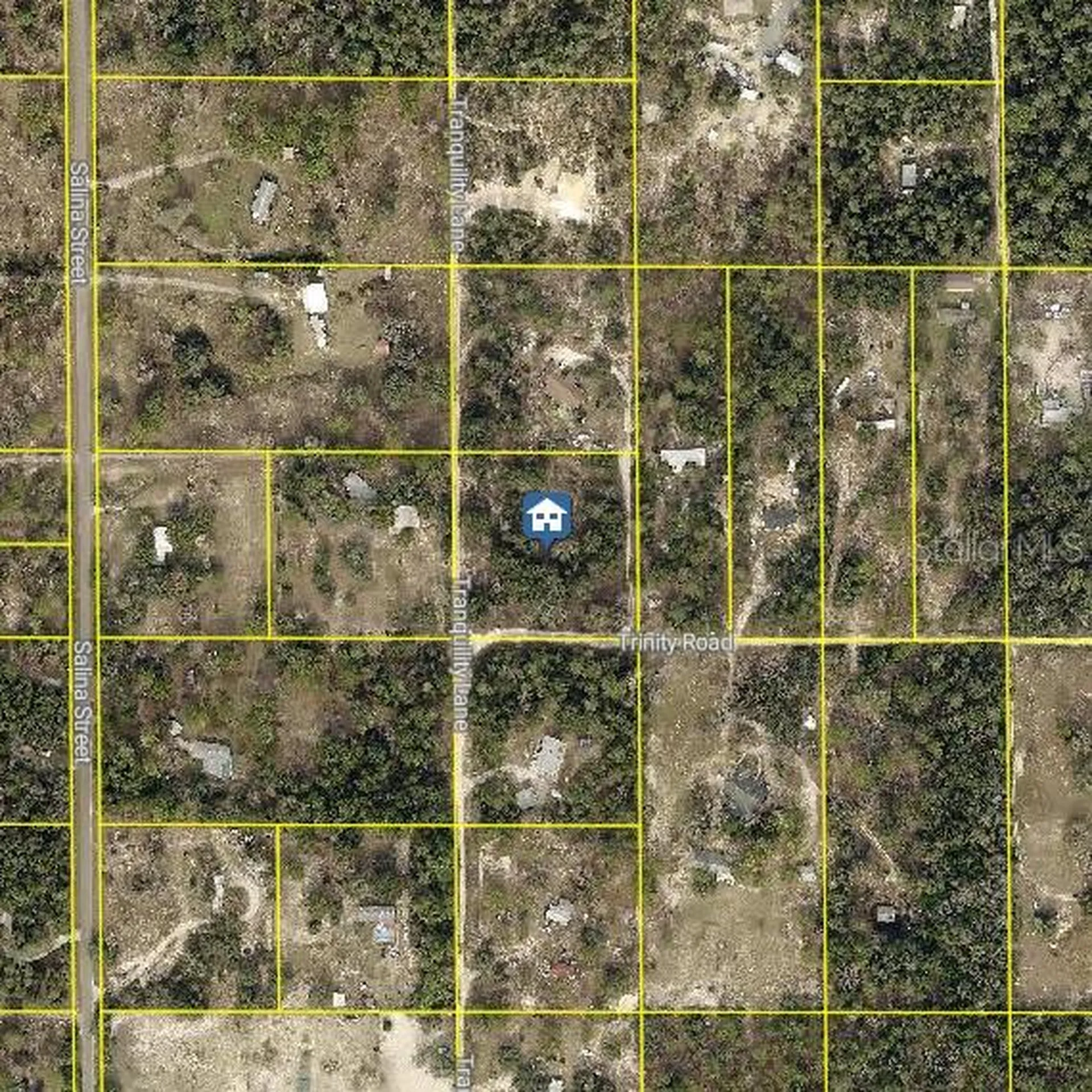 Trinity Road Brooksville FL 34614