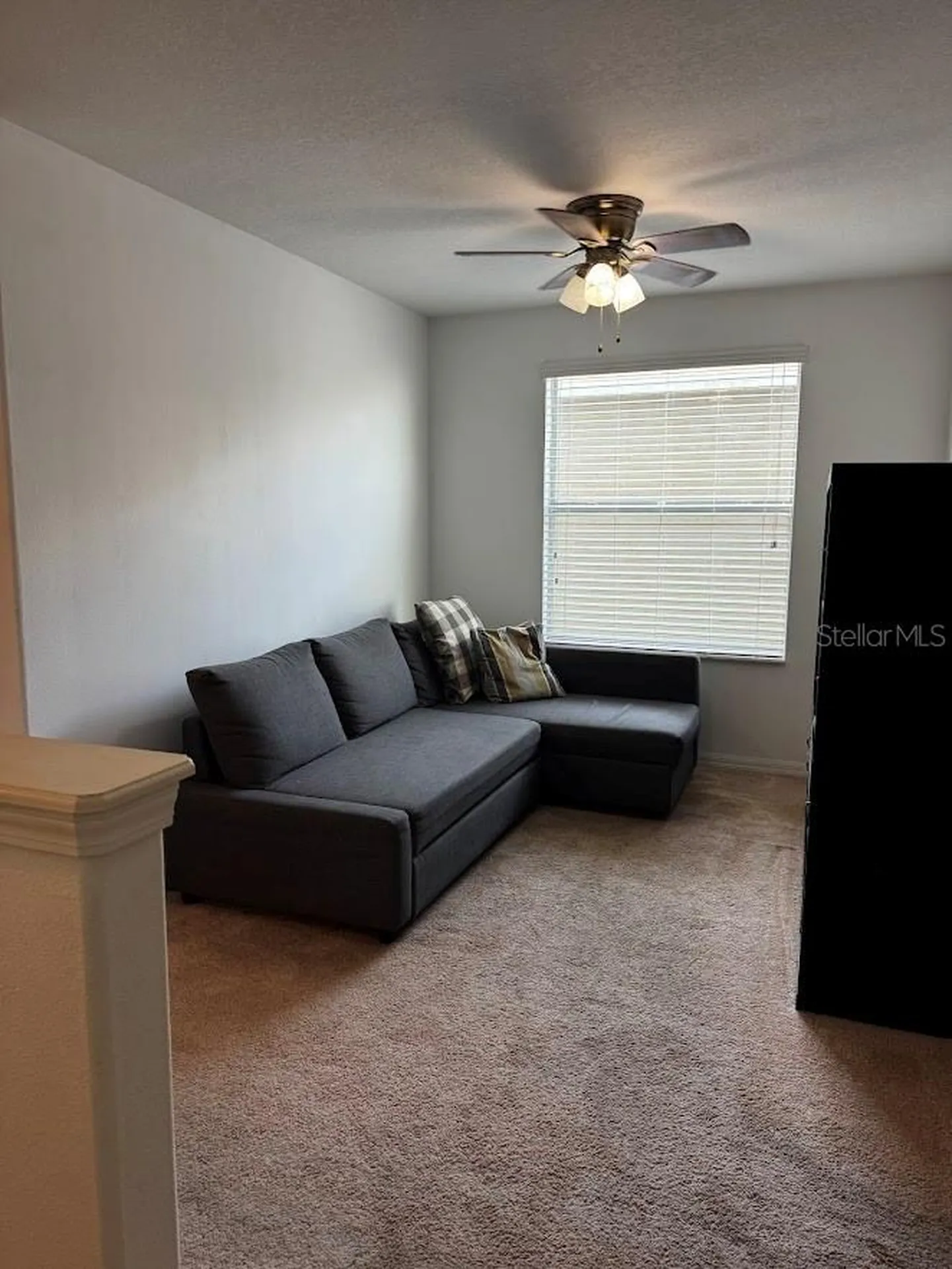 1310 Trailwater Street Ruskin FL 33570