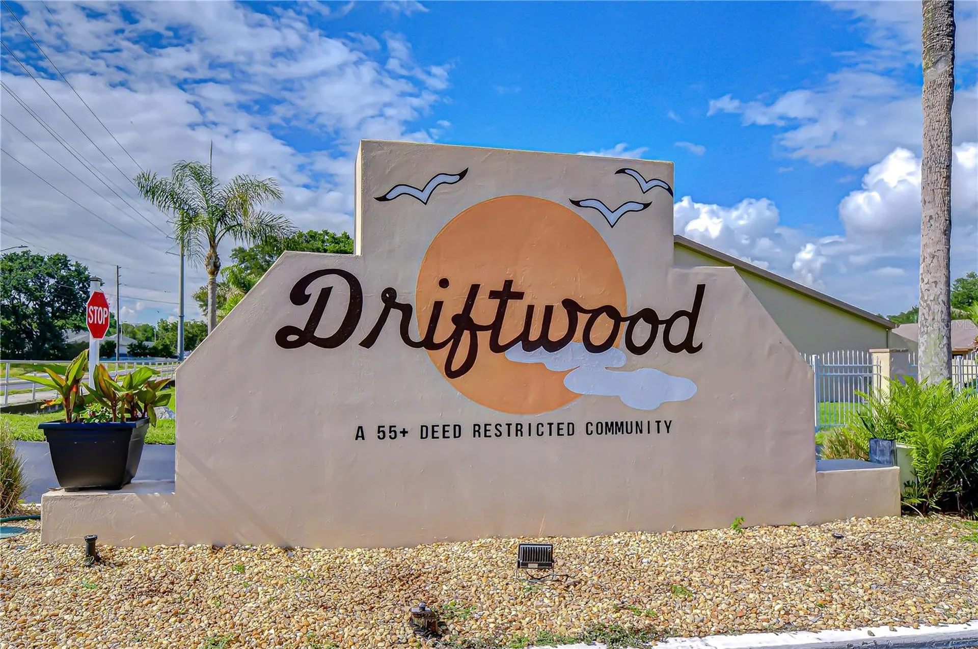 38334 Cottonwood Place Zephyrhills FL 33542