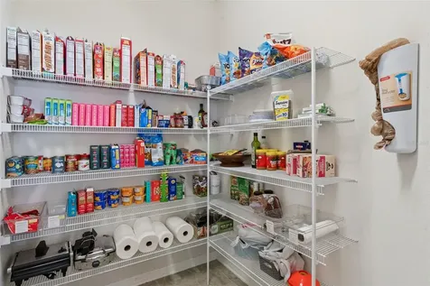 932 Boxelder Avenue Minneola FL 34715