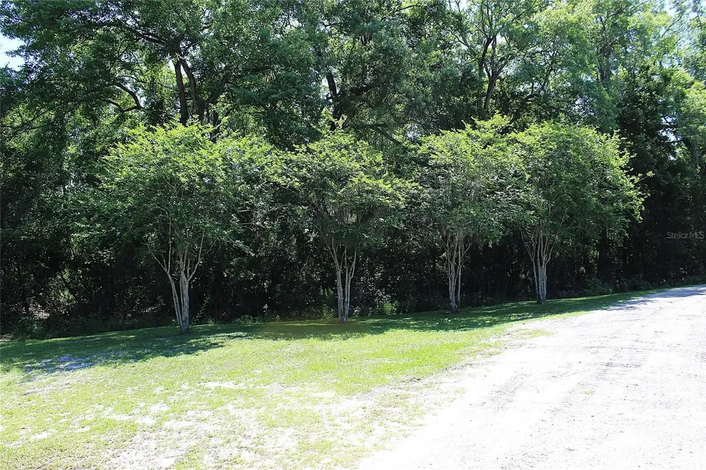 175 E San Jose Street Palatka FL 32177