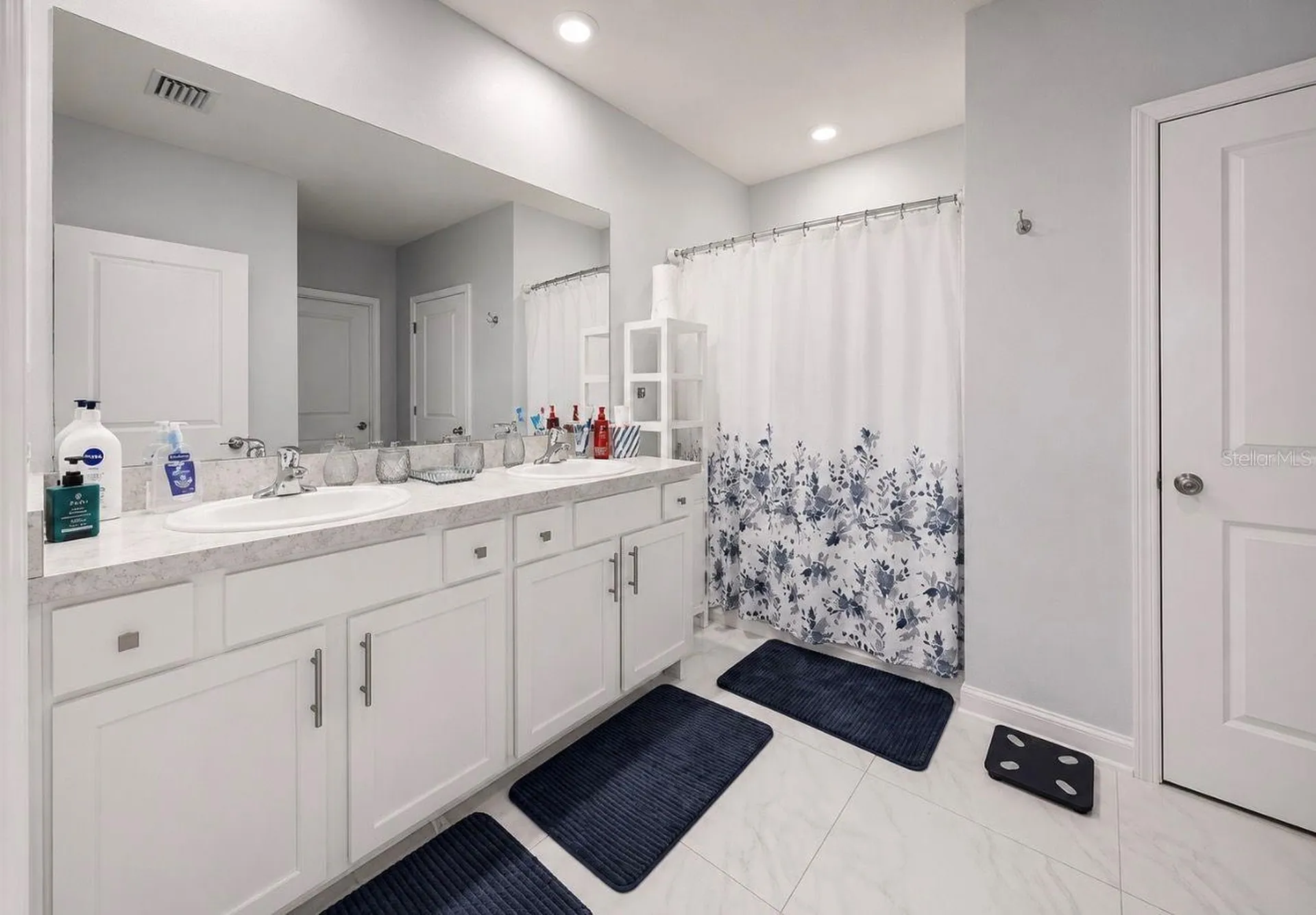 13912 Smiling Daisy Place Riverview FL 33579