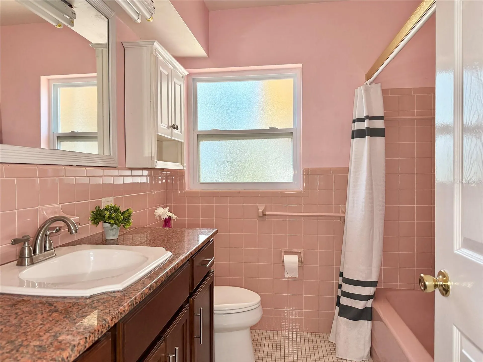 2523 Krueger Lane Tampa FL 33618