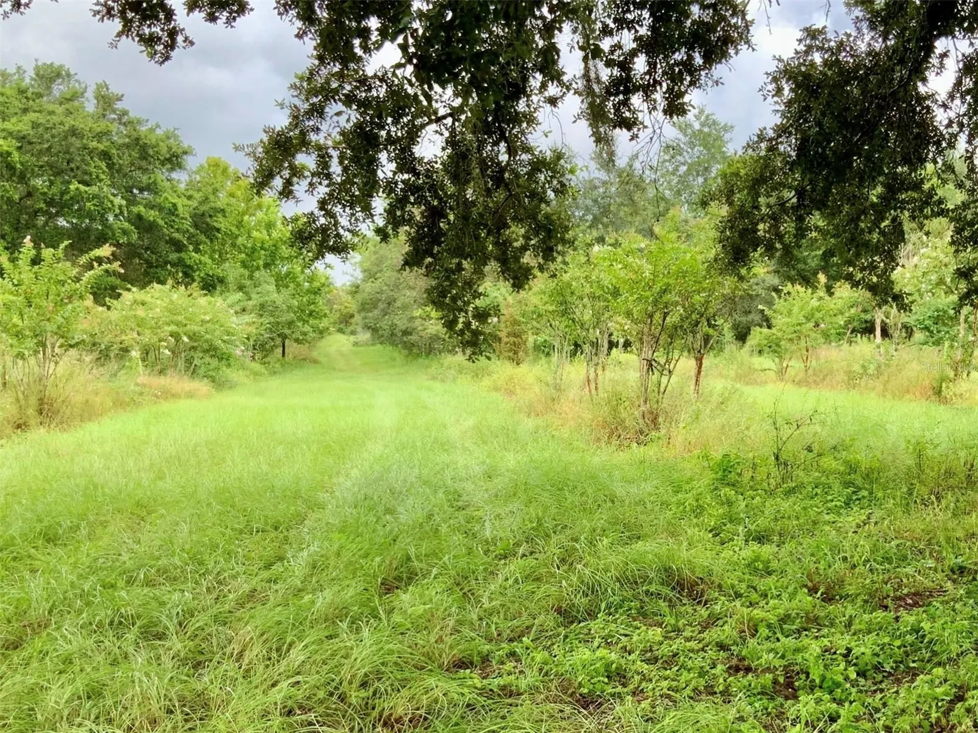 5079 Ondich Road Apopka FL 32712