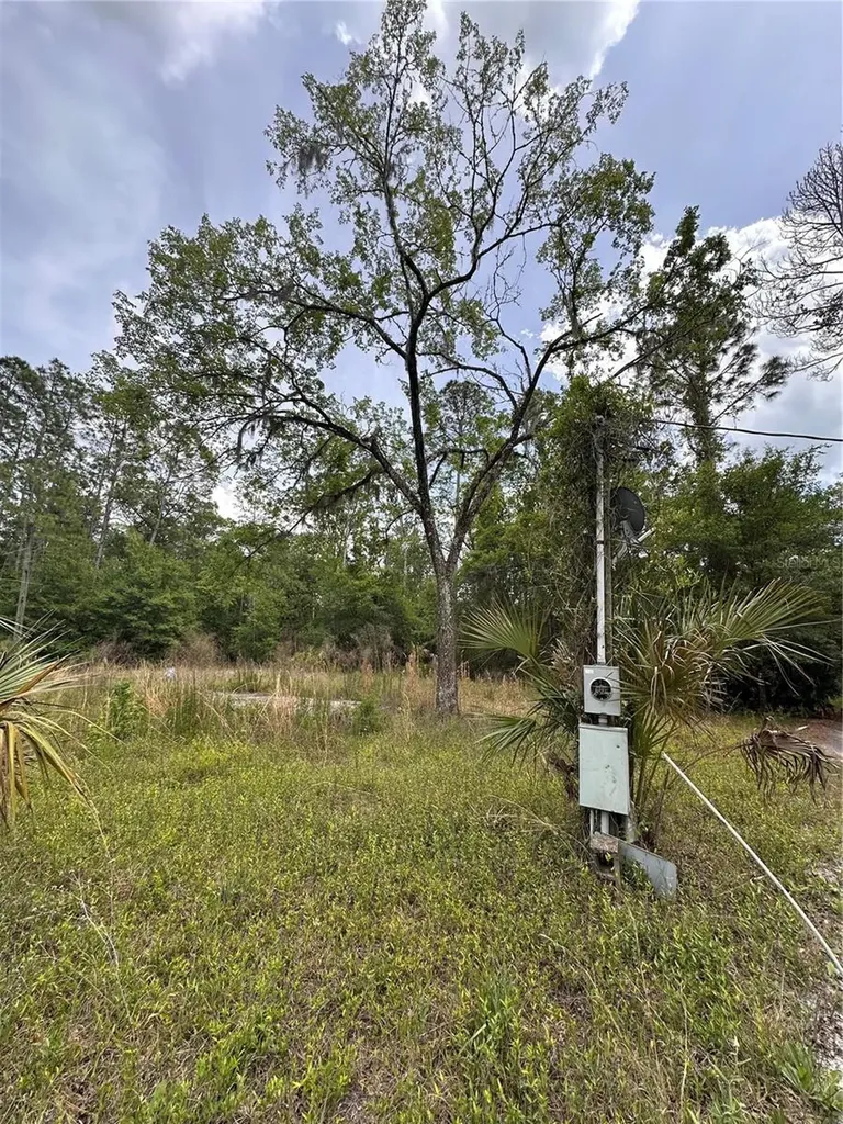 8744 W Oak Street Crystal River FL 34428