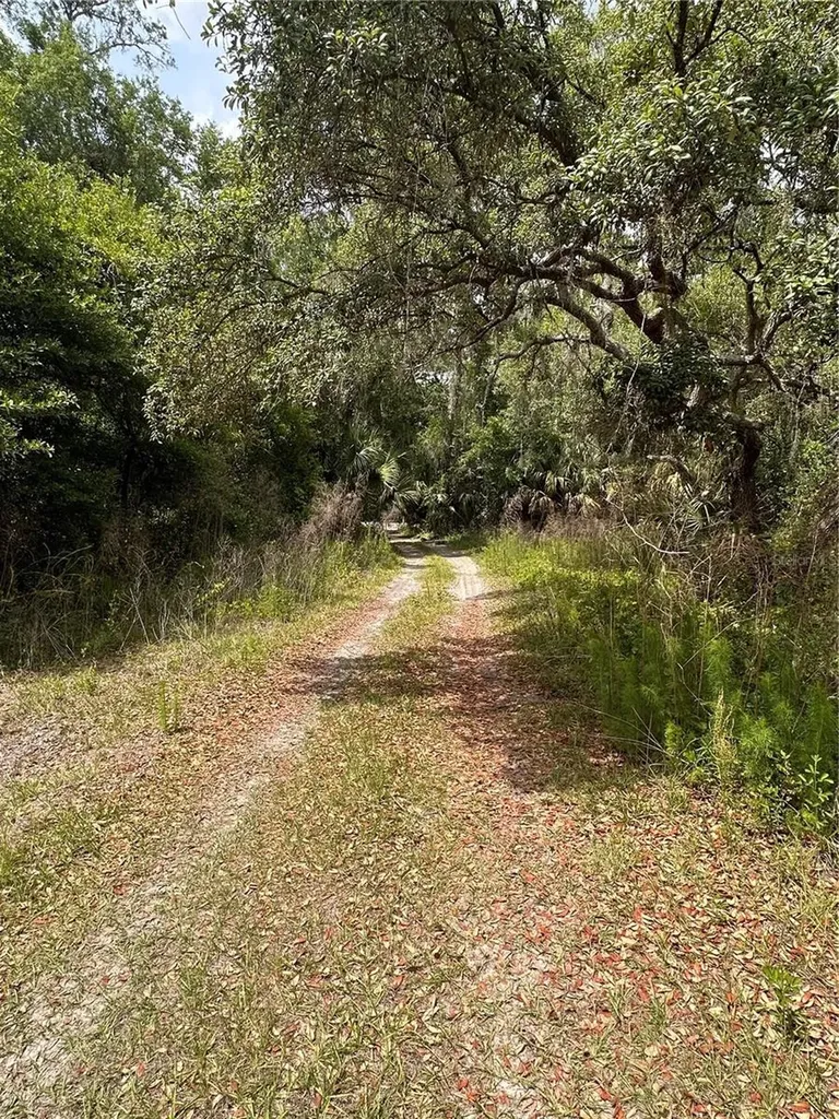8744 W Oak Street Crystal River FL 34428