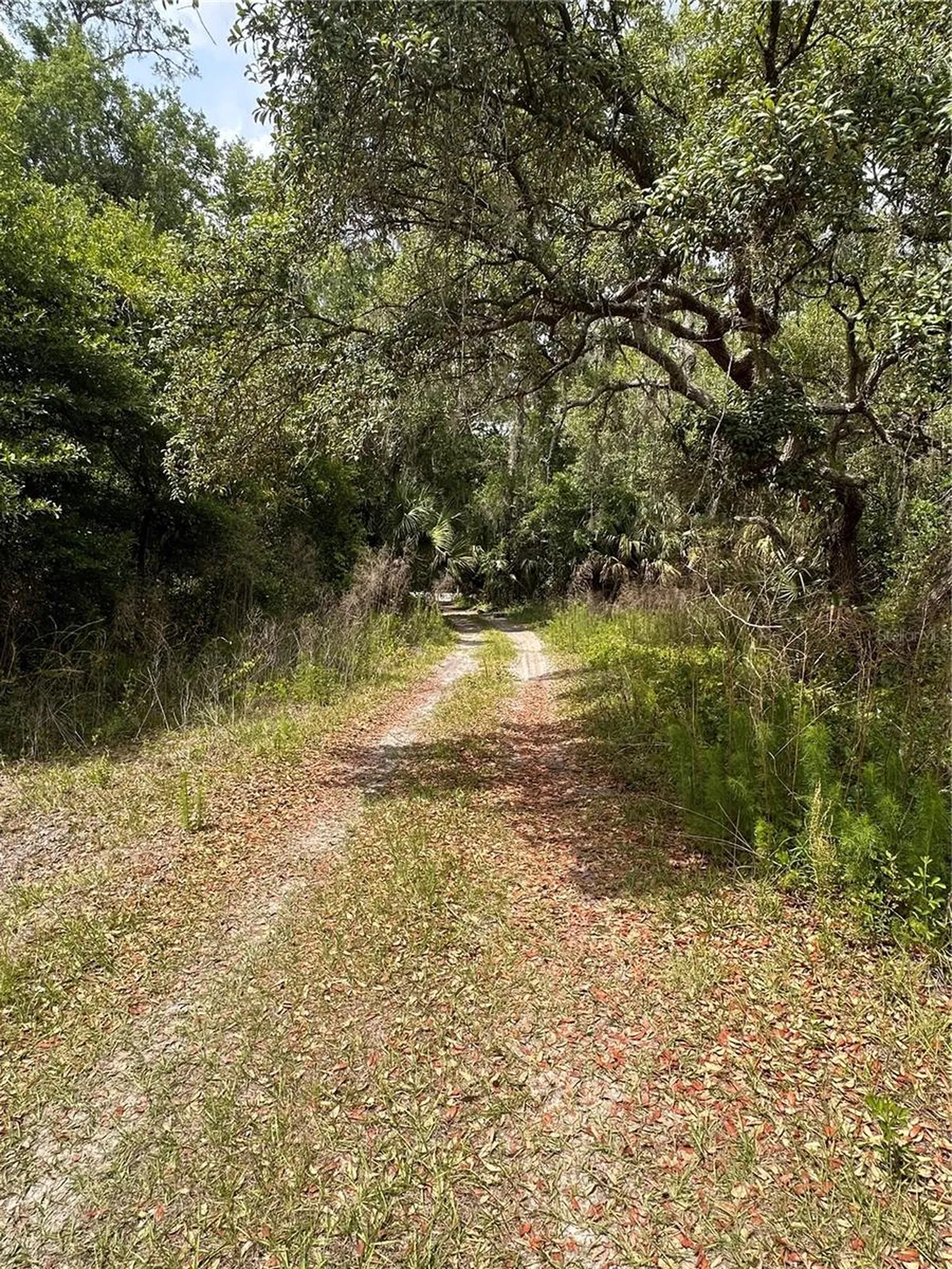 8744 W Oak Street Crystal River FL 34428