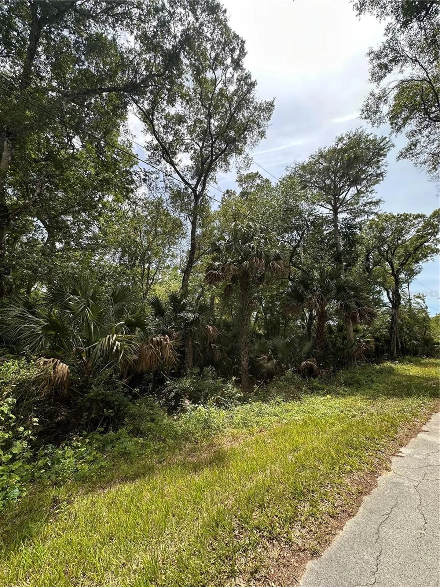 8744 W Oak Street Crystal River FL 34428