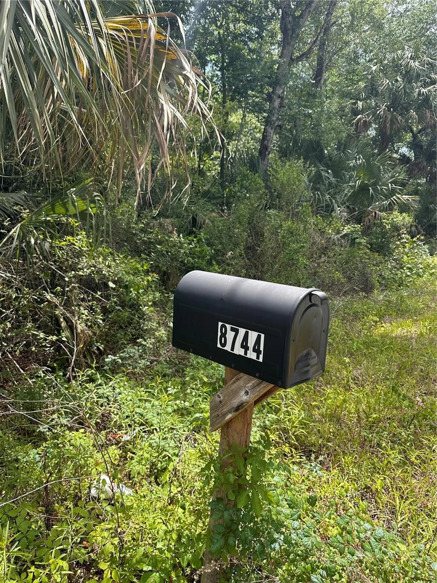 8744 W Oak Street Crystal River FL 34428
