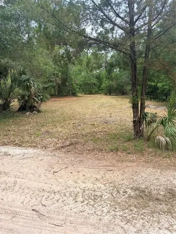8744 W Oak Street Crystal River FL 34428