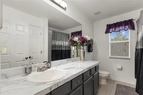 6932 Gray Catbird Loop Wesley Chapel FL 33545