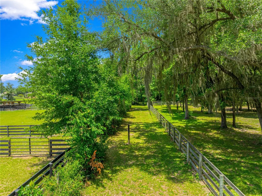 9041 SW 14th Avenue Ocala FL 34476