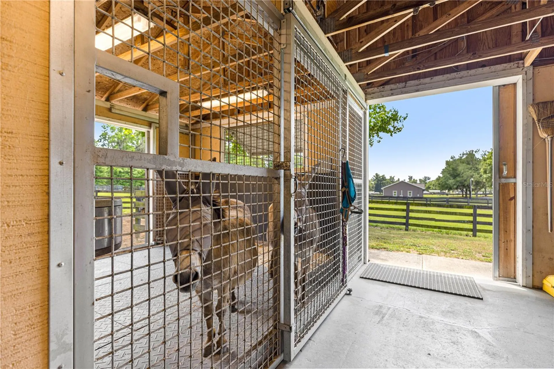 9041 SW 14th Avenue Ocala FL 34476