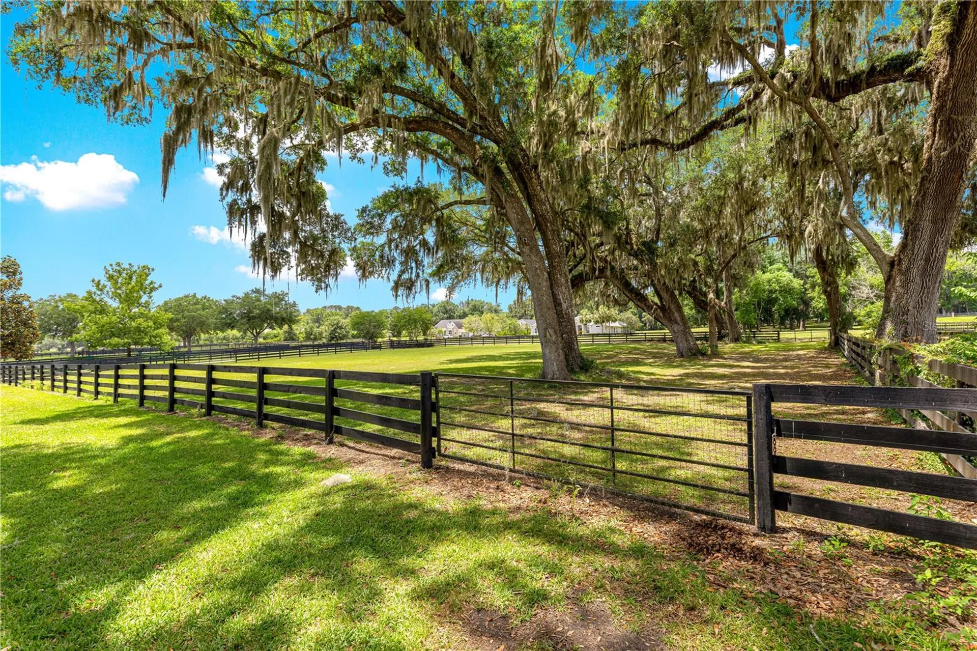 9041 SW 14th Avenue Ocala FL 34476