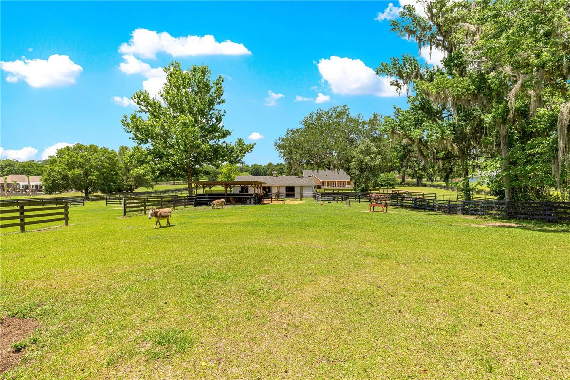 9041 SW 14th Avenue Ocala FL 34476