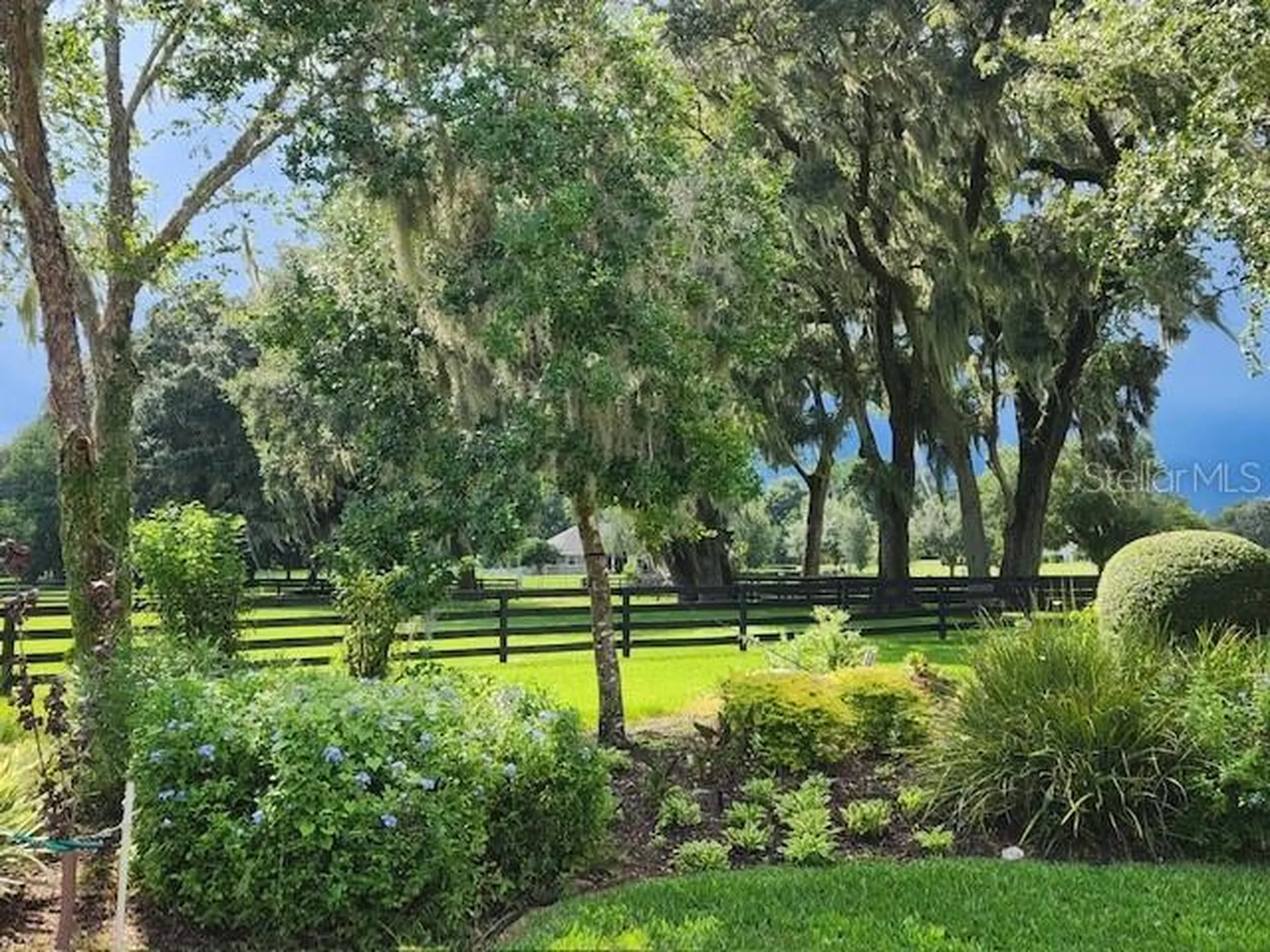 9041 SW 14th Avenue Ocala FL 34476