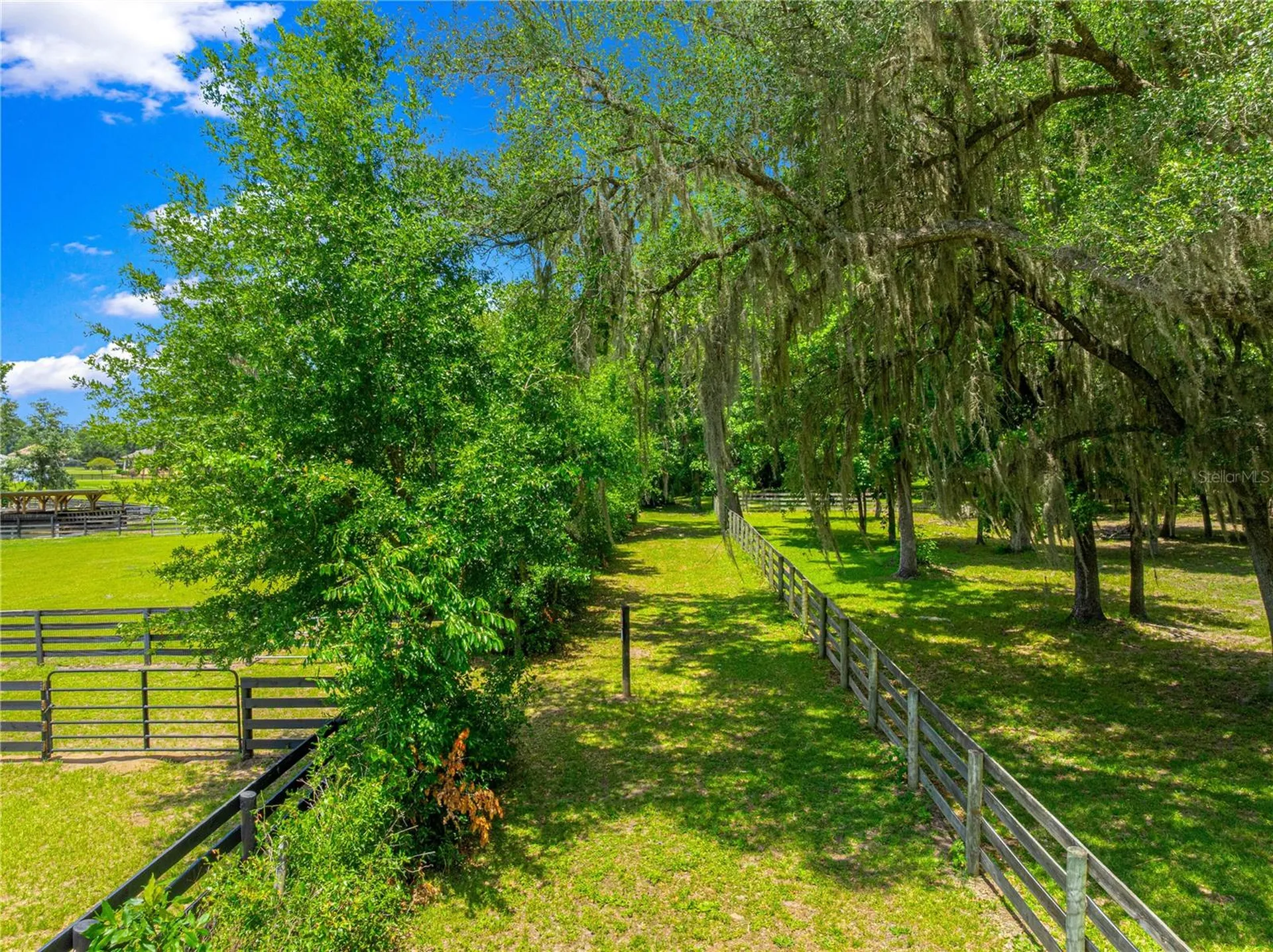 9041 SW 14th Avenue Ocala FL 34476
