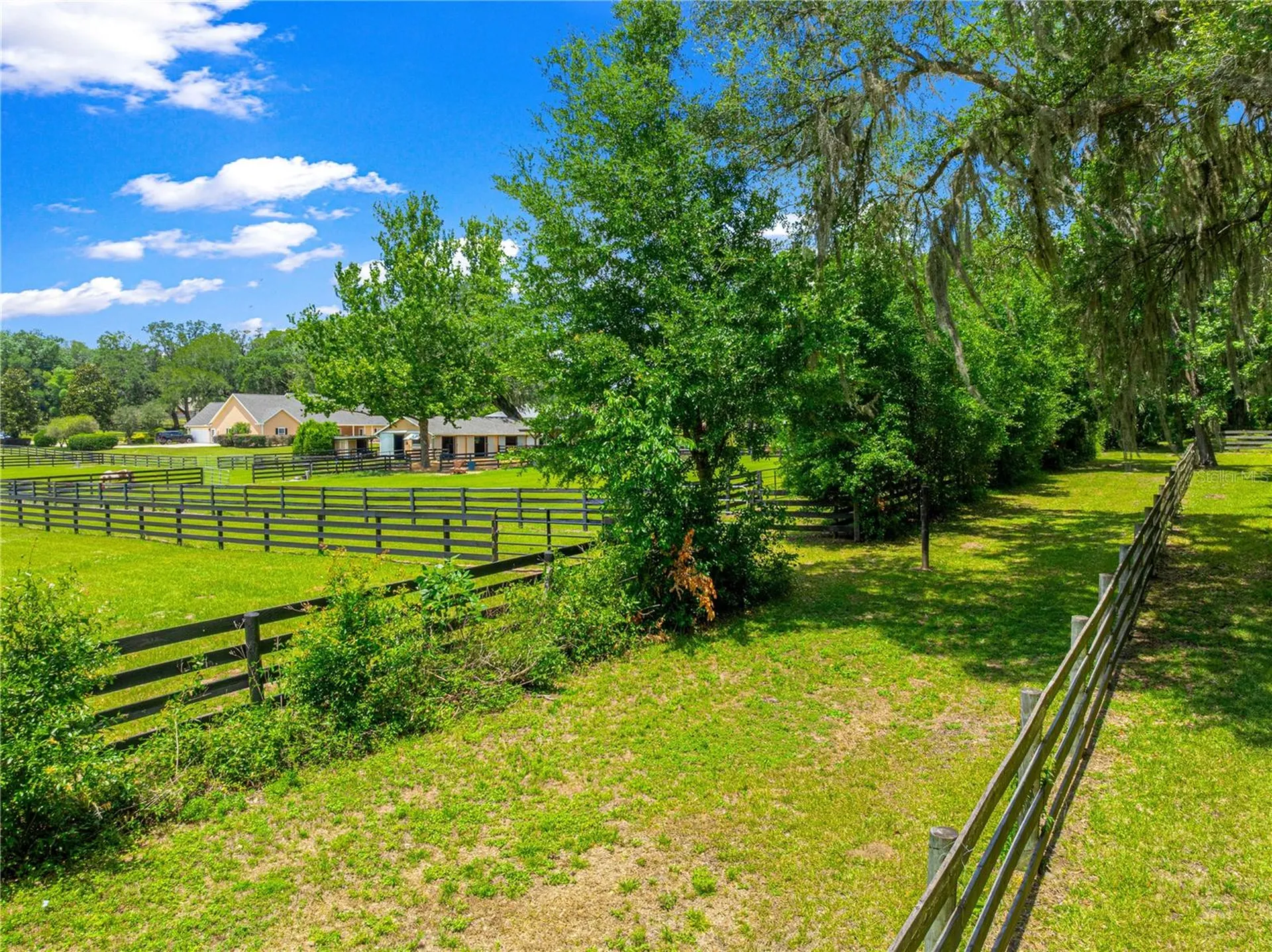 9041 SW 14th Avenue Ocala FL 34476