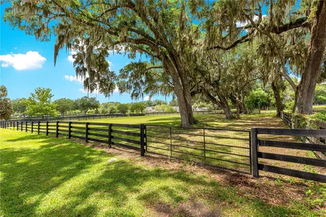 9041 SW 14th Avenue Ocala FL 34476