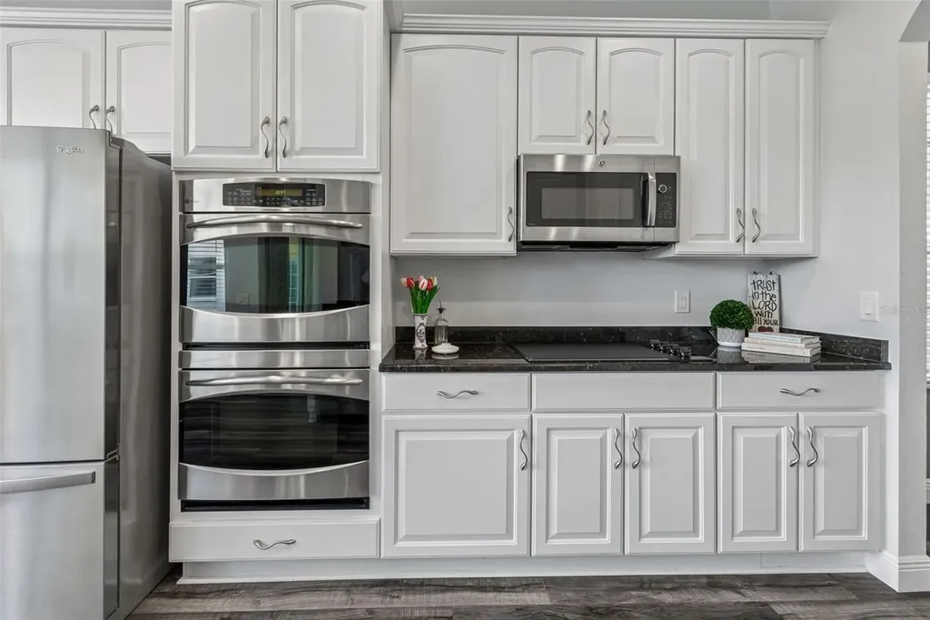 11509 Dutch Iris Drive Riverview FL 33578