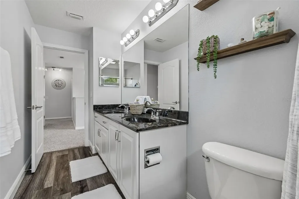 11509 Dutch Iris Drive Riverview FL 33578