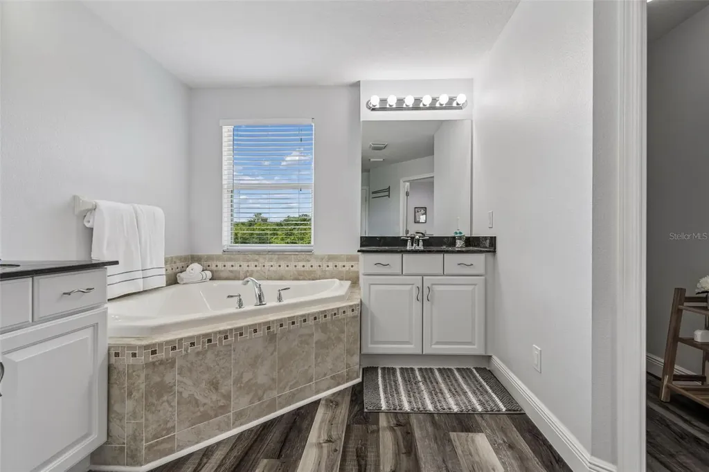 11509 Dutch Iris Drive Riverview FL 33578