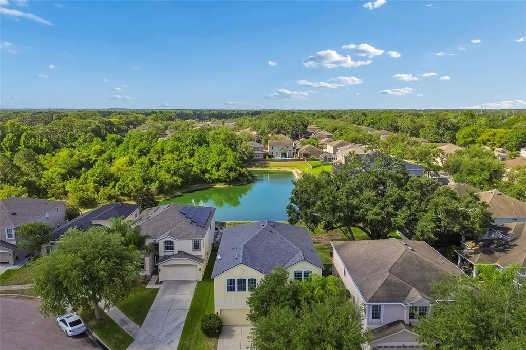 11509 Dutch Iris Drive Riverview FL 33578