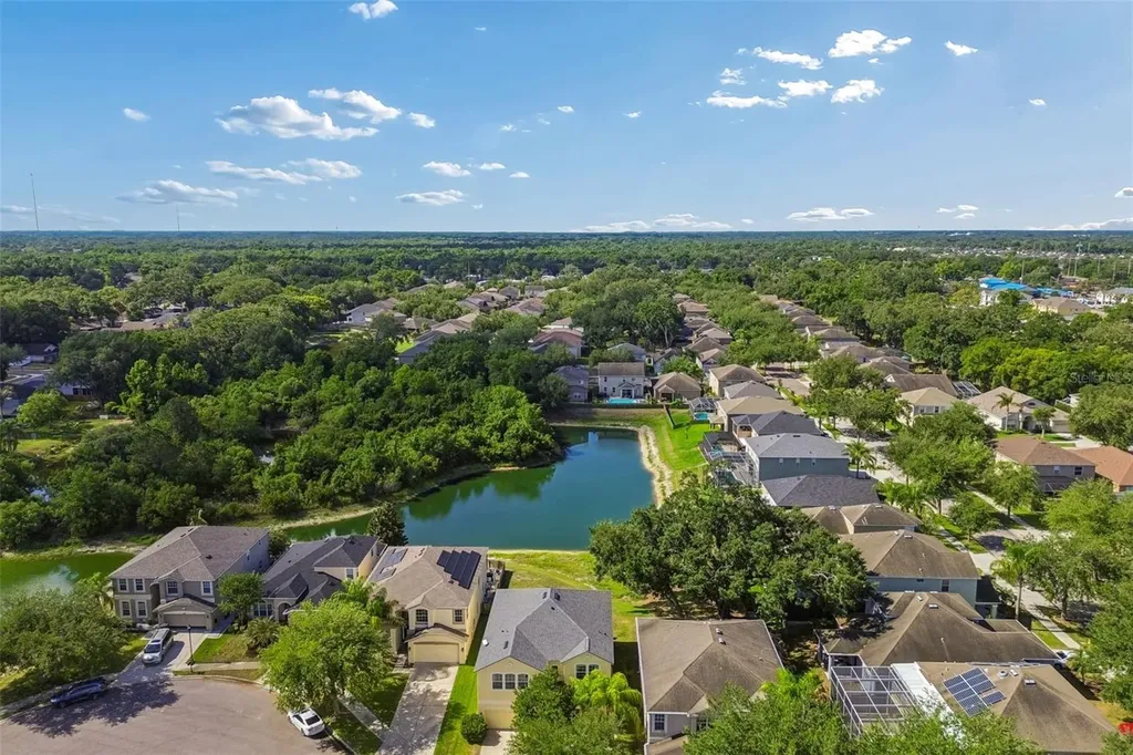 11509 Dutch Iris Drive Riverview FL 33578