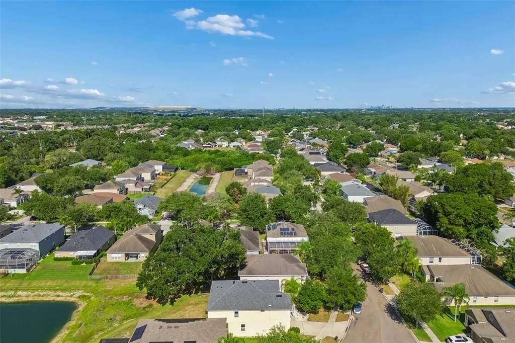 11509 Dutch Iris Drive Riverview FL 33578