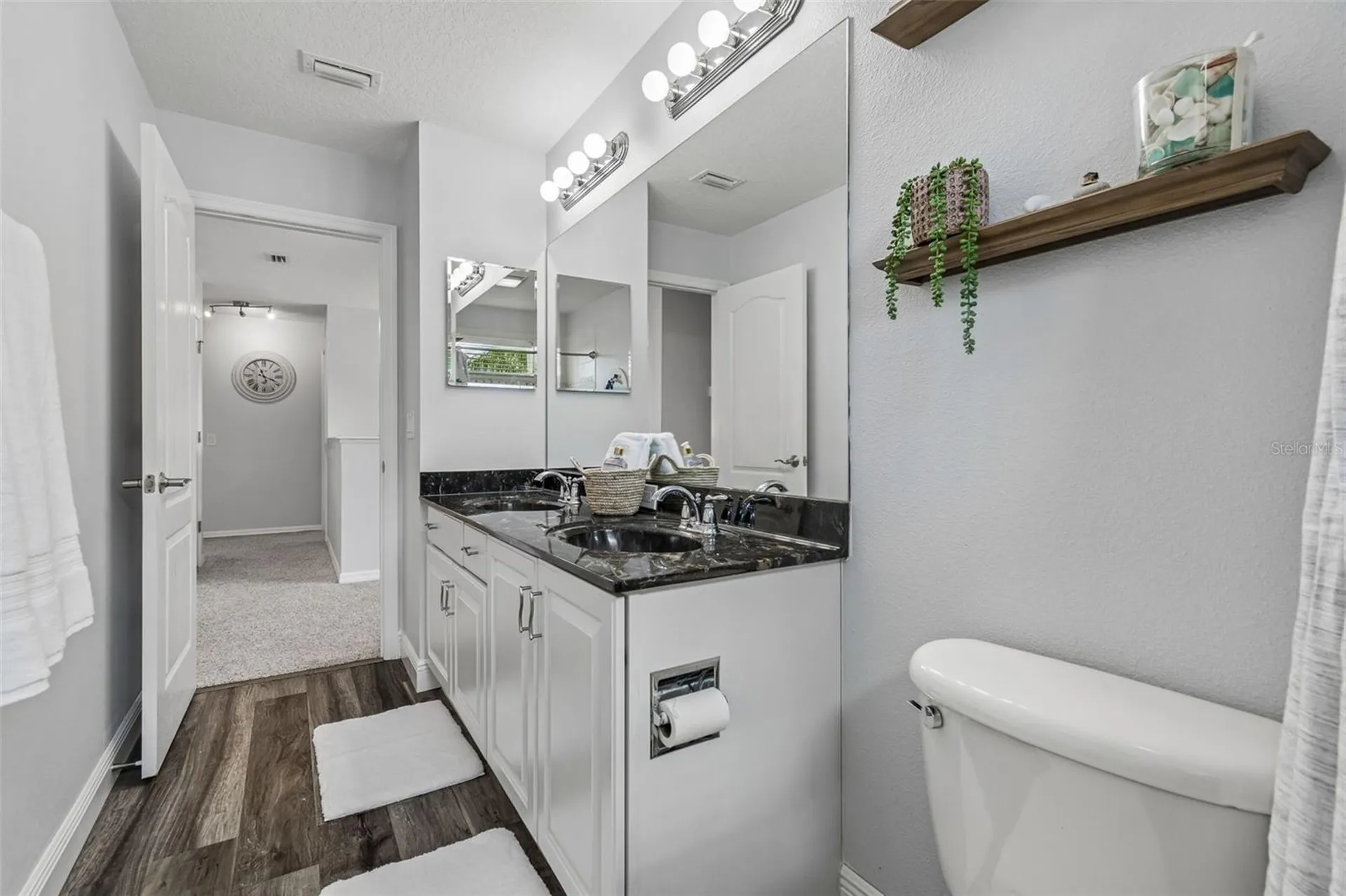 11509 Dutch Iris Drive Riverview FL 33578