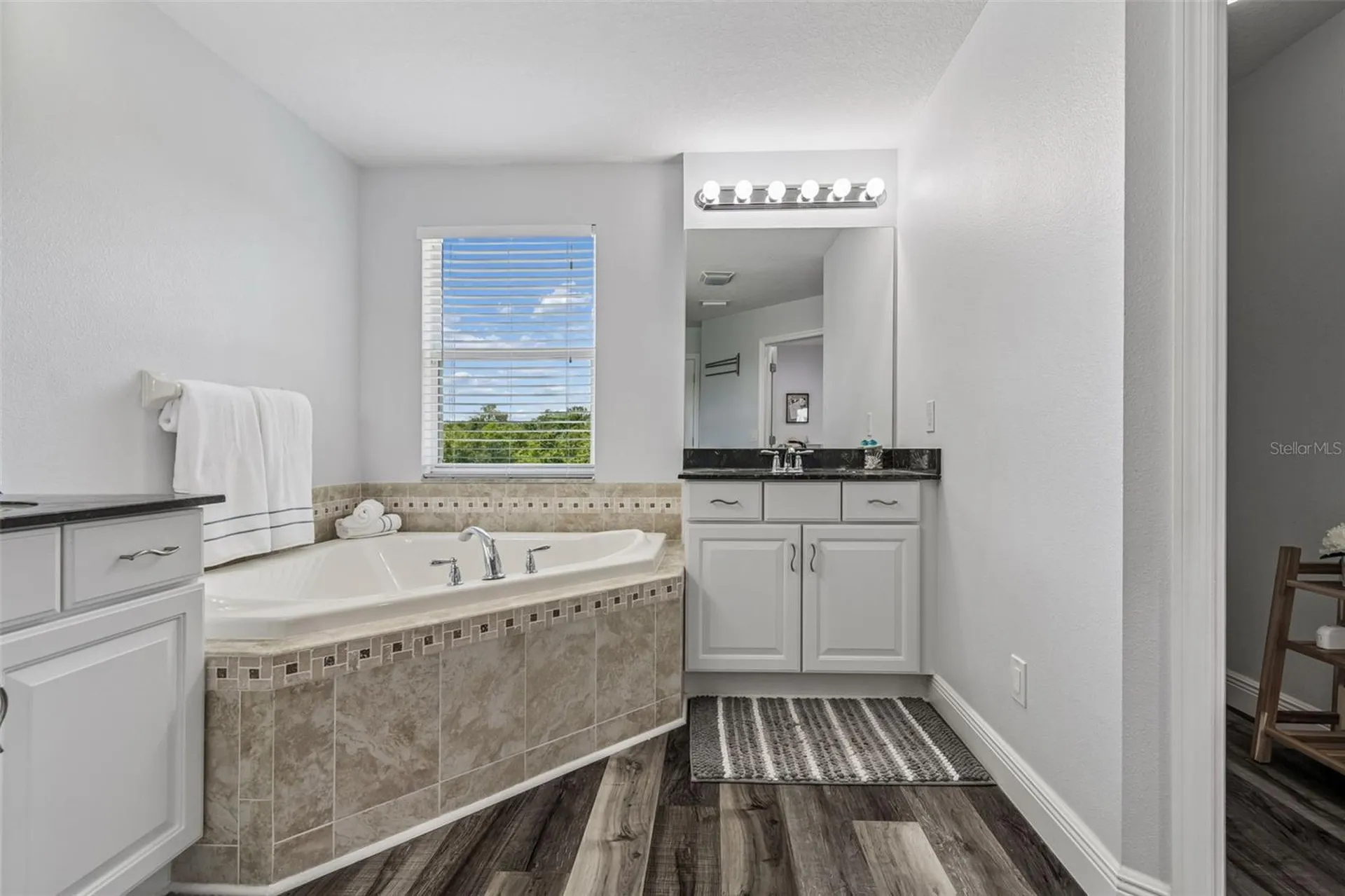 11509 Dutch Iris Drive Riverview FL 33578