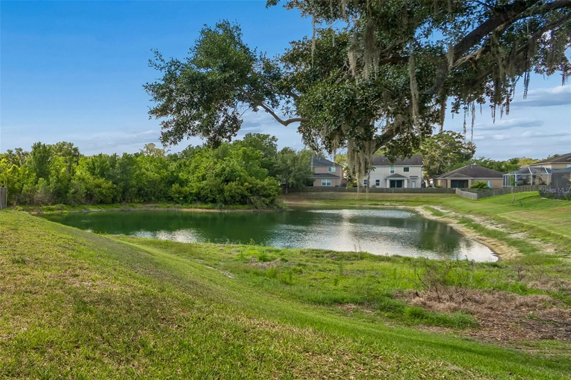 11509 Dutch Iris Drive Riverview FL 33578