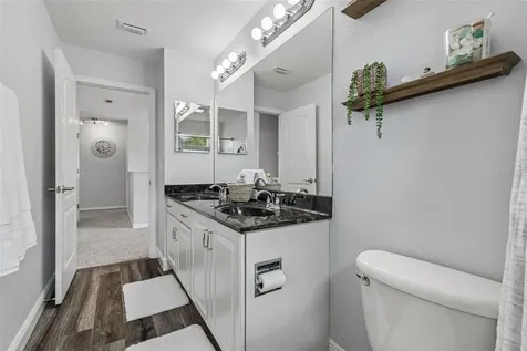11509 Dutch Iris Drive Riverview FL 33578