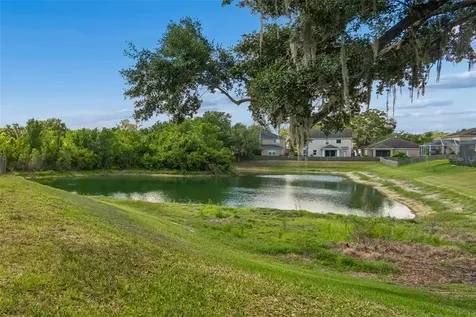 11509 Dutch Iris Drive Riverview FL 33578