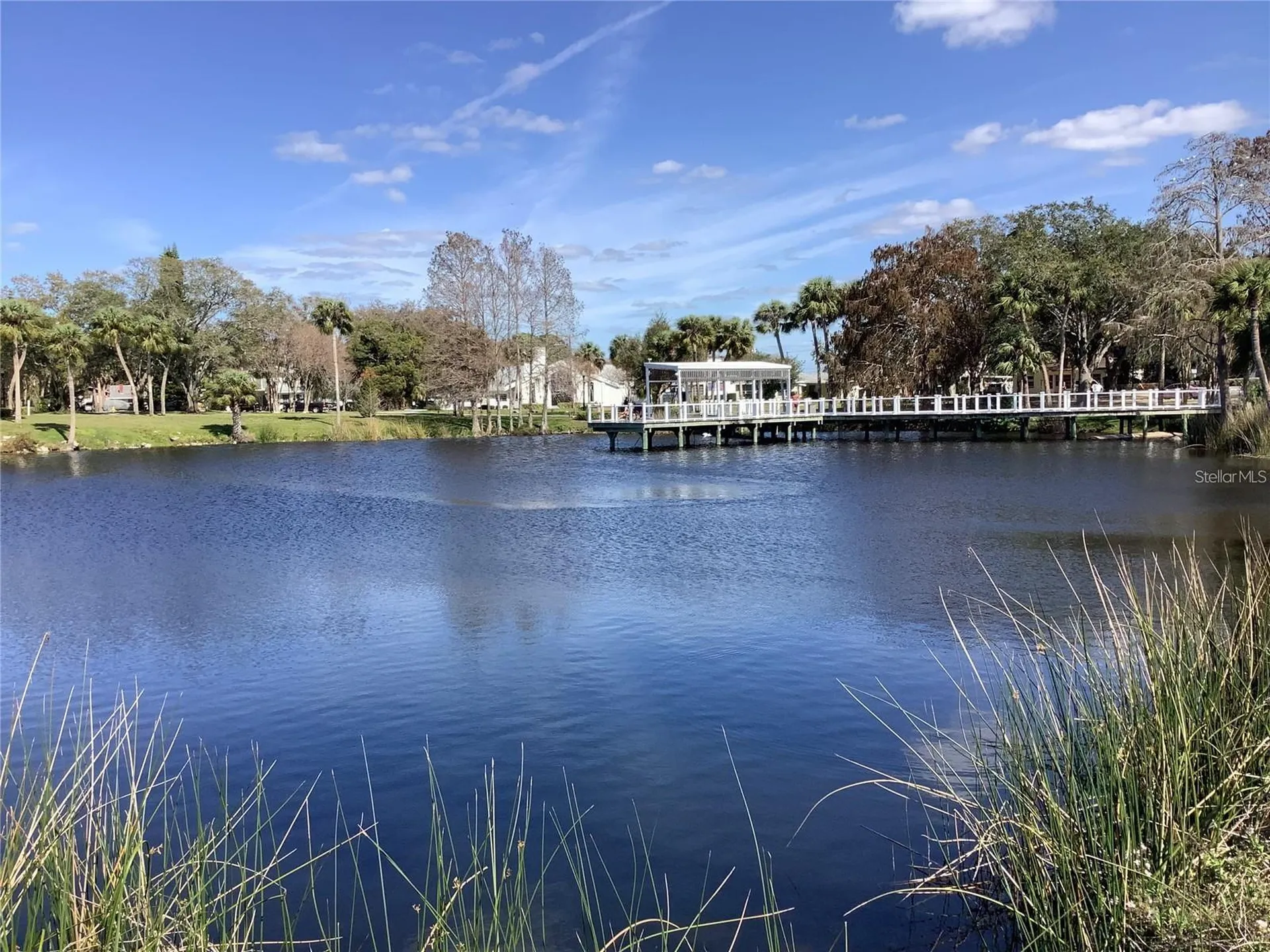 4736 Jasper Drive New Port Richey FL 34652