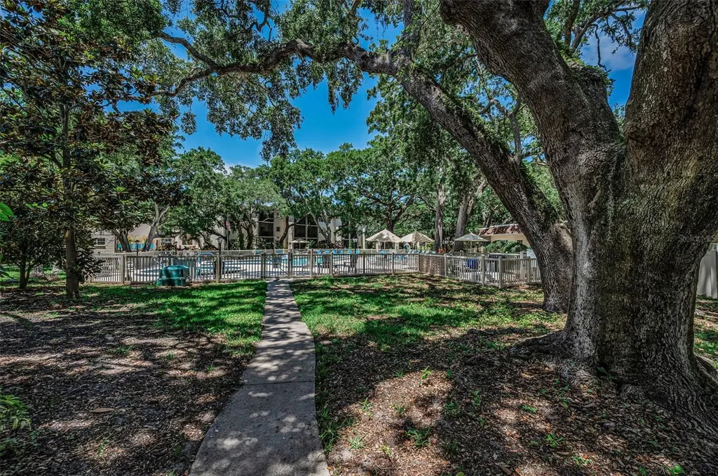 820 Patricia Avenue Dunedin FL 34698