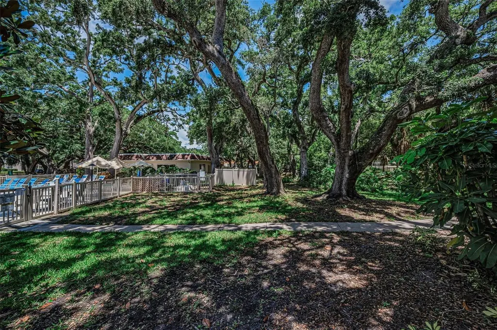 820 Patricia Avenue Dunedin FL 34698