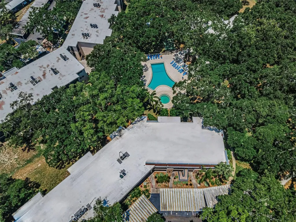 820 Patricia Avenue Dunedin FL 34698