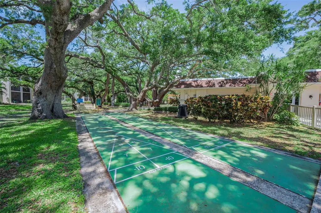 820 Patricia Avenue Dunedin FL 34698