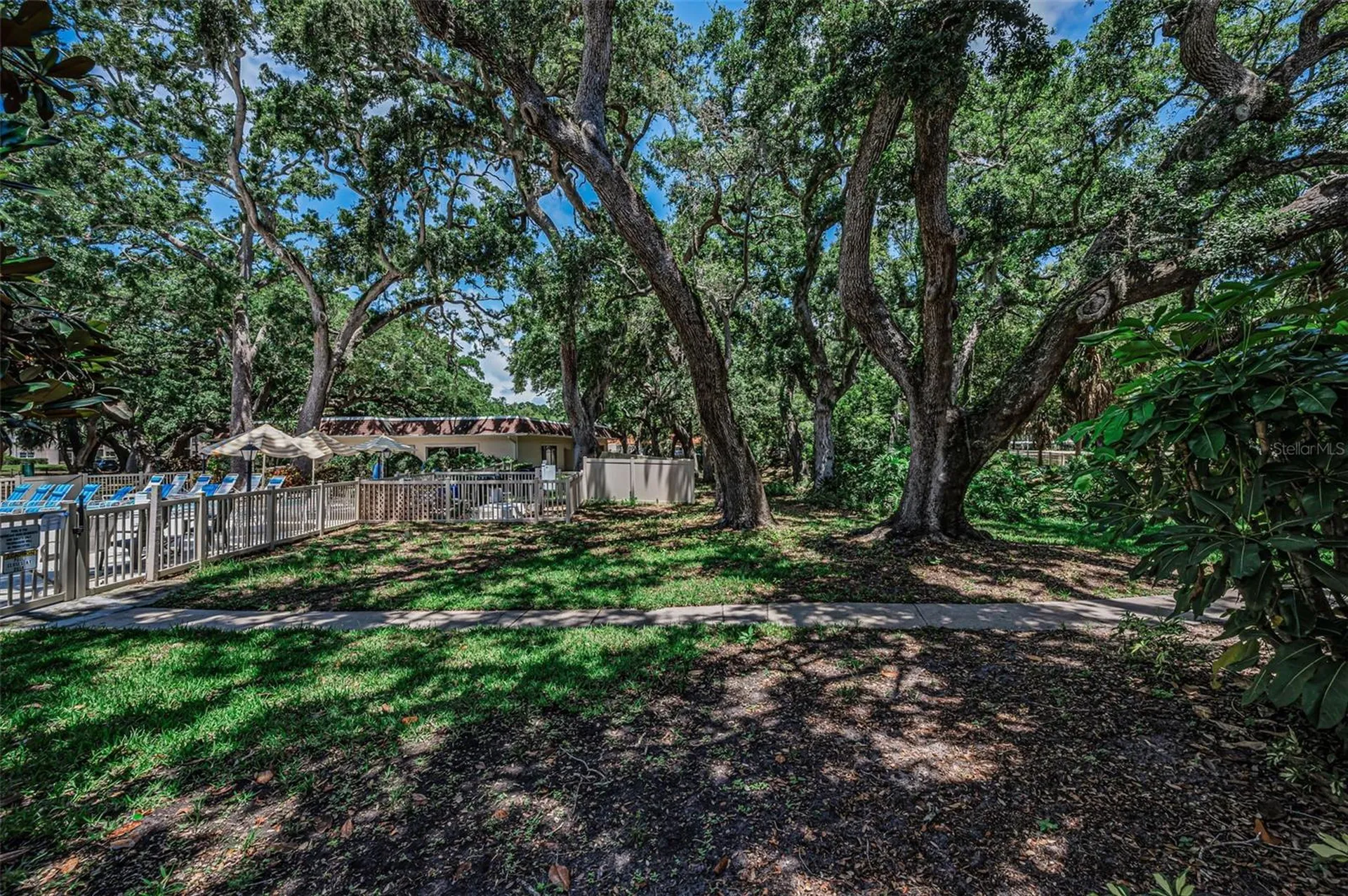 820 Patricia Avenue Dunedin FL 34698