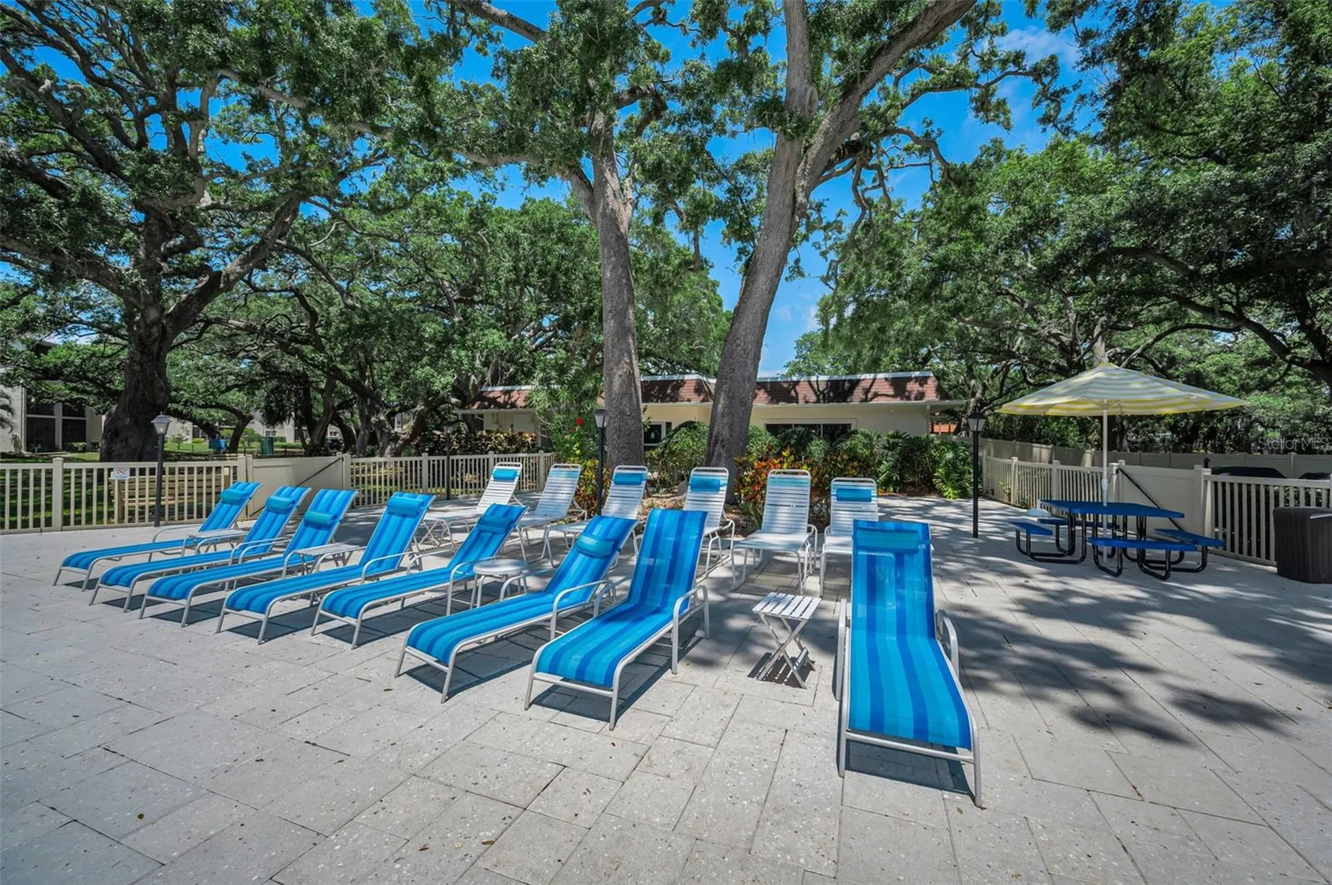 820 Patricia Avenue Dunedin FL 34698