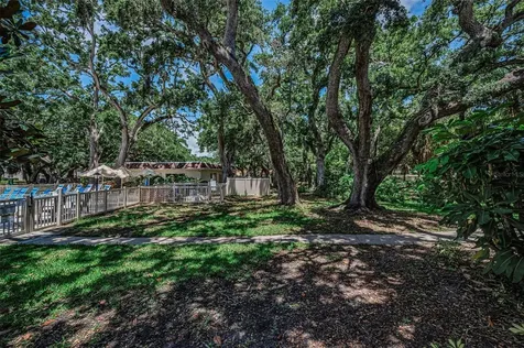 820 Patricia Avenue Dunedin FL 34698