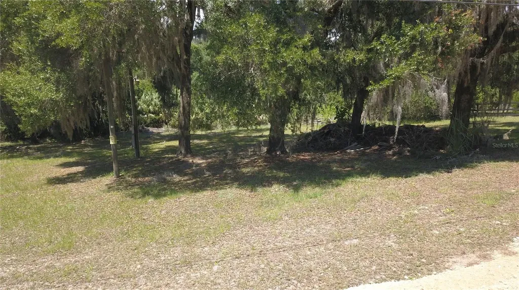 11333 SE 202nd Lane Inglis FL 34449