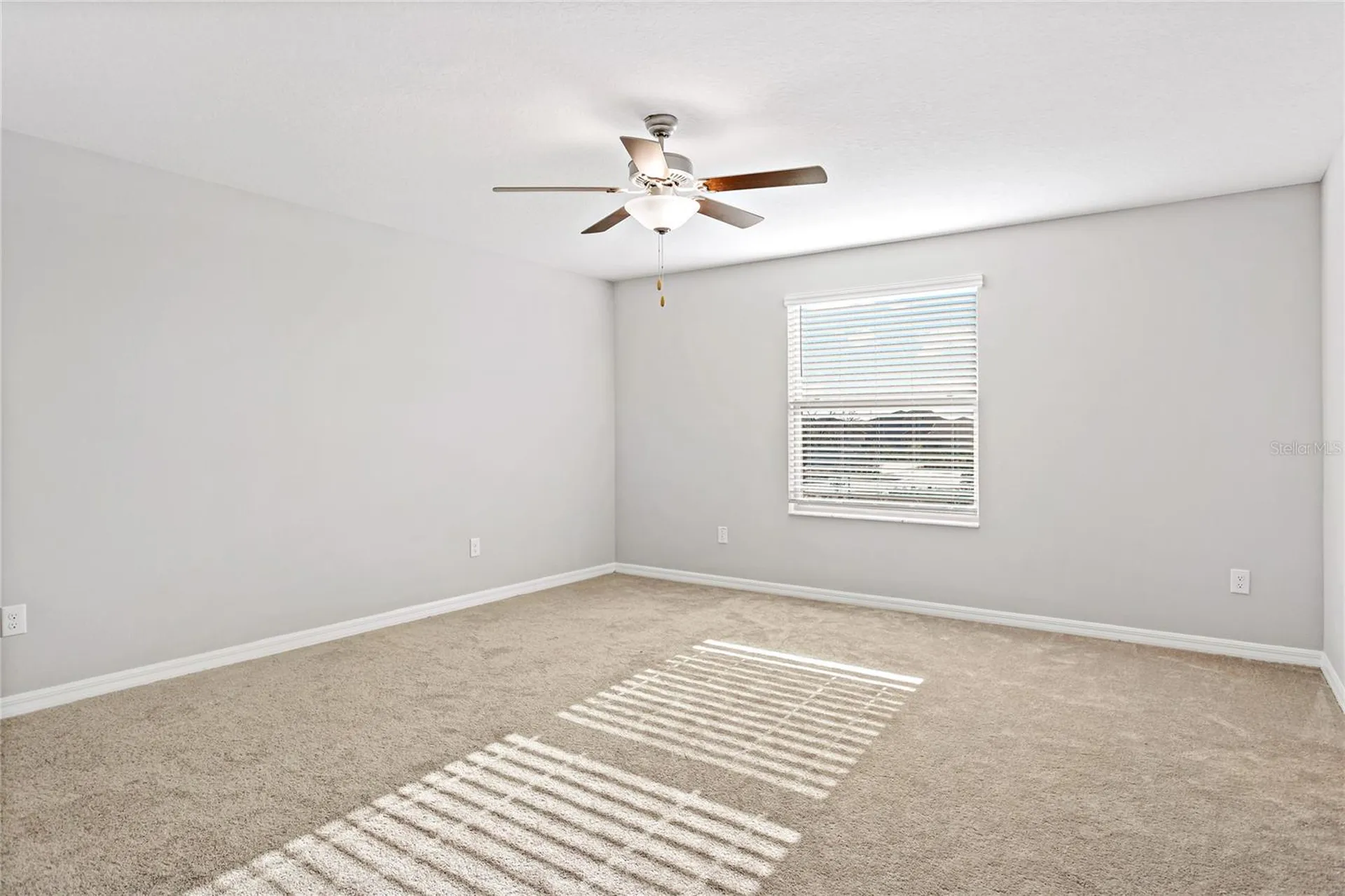 13647 Wild Ginger Street Riverview FL 33579