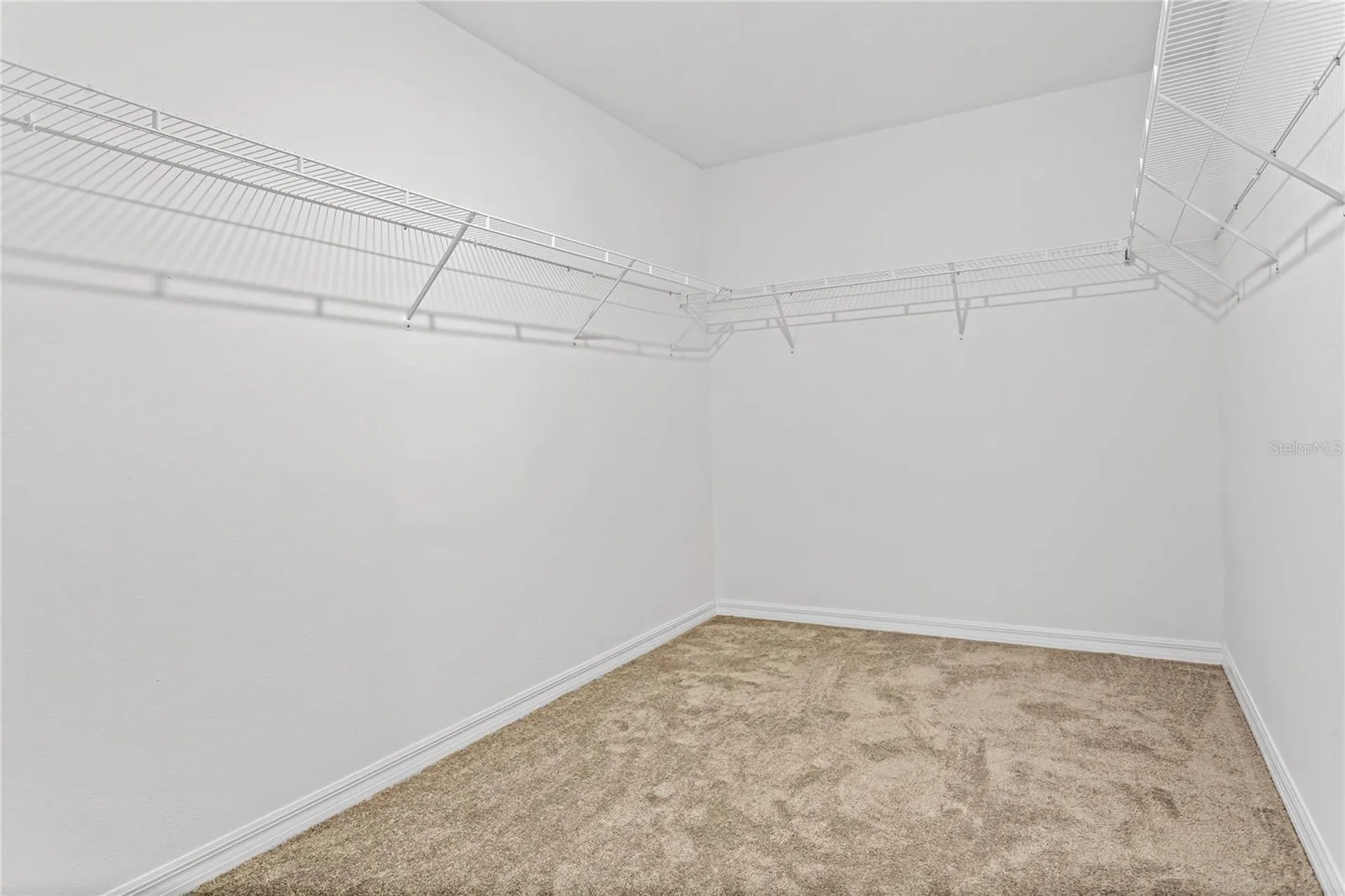 13647 Wild Ginger Street Riverview FL 33579