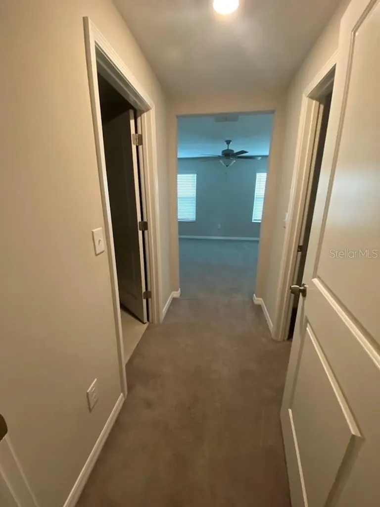 9723 Mulberry Marsh Lane Sun City Center FL 33573