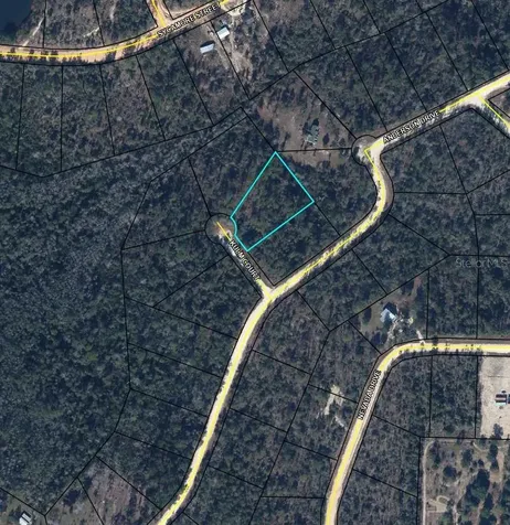 0000 Kulm Court Alford FL 32420
