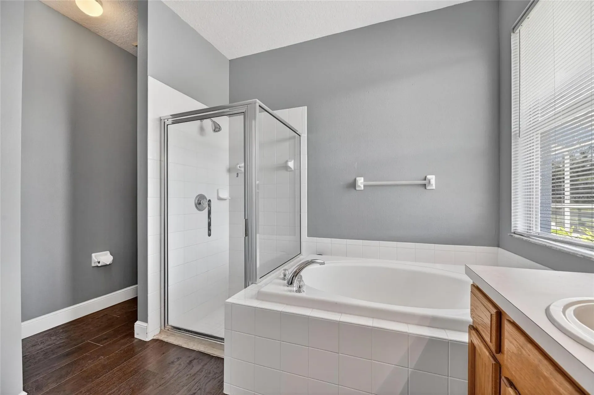 11207 Village Brook Drive Riverview FL 33579