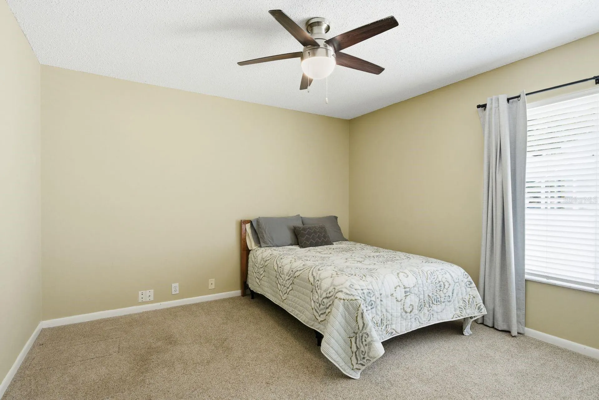 1856 Wood Thrush Way Palm Harbor FL 34683